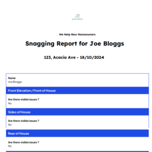 Snagging Report